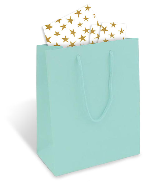 Blue Gift Bag with Gold Stars Tissue Paper