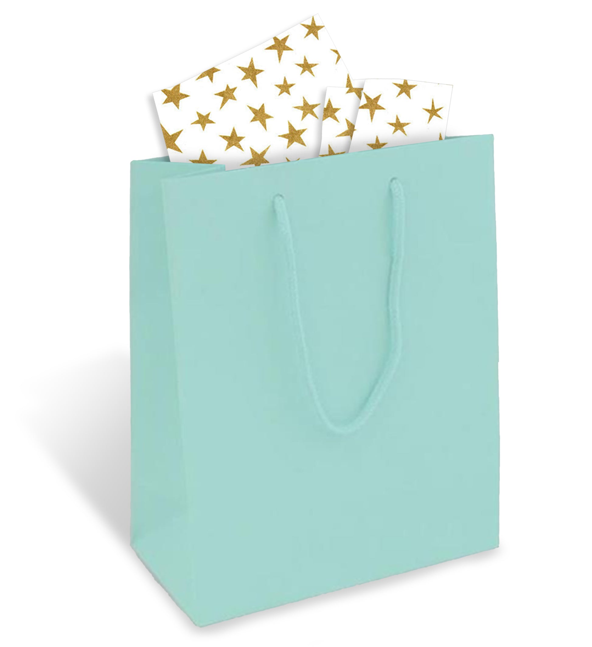 Blue Gift Bag with Gold Stars Tissue Paper –